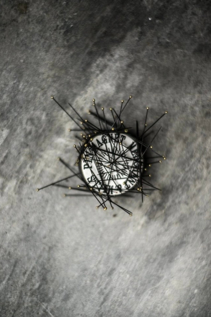 Pin magnet