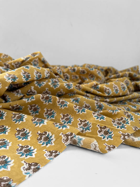 Hoya Mustard