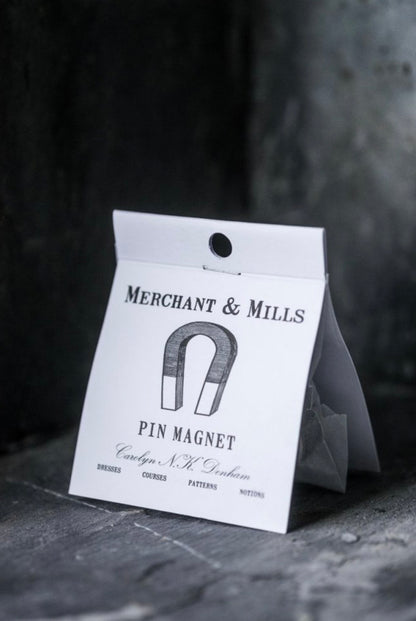 Pin magnet