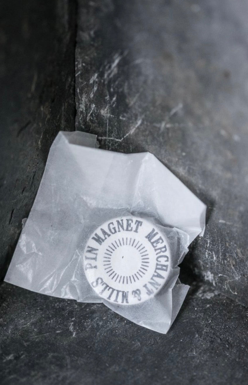 Pin magnet