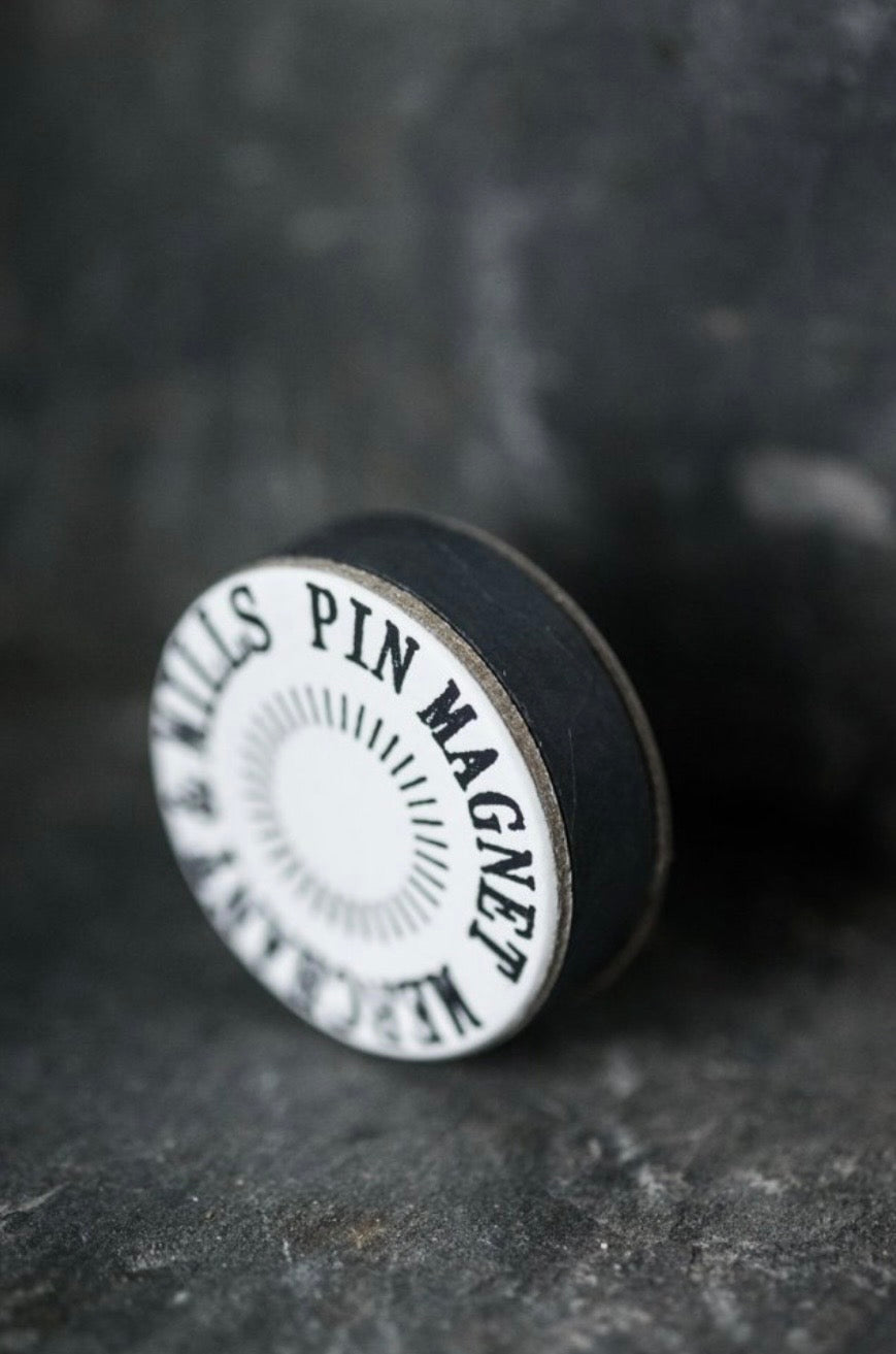 Pin magnet
