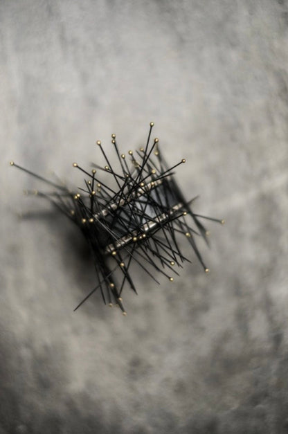 Pin magnet