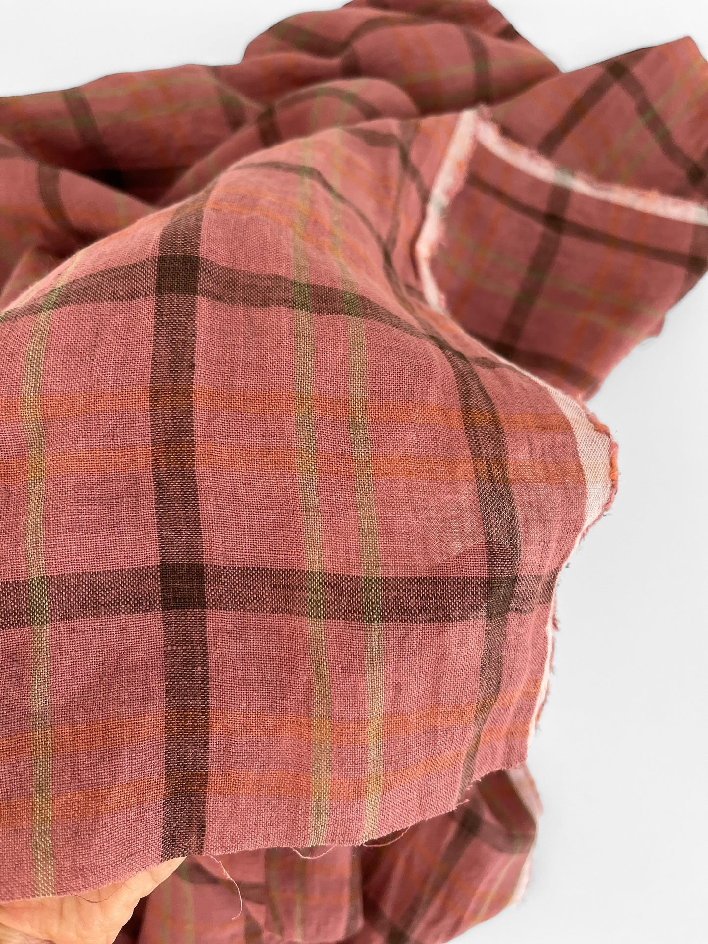 Rhubarb Checks