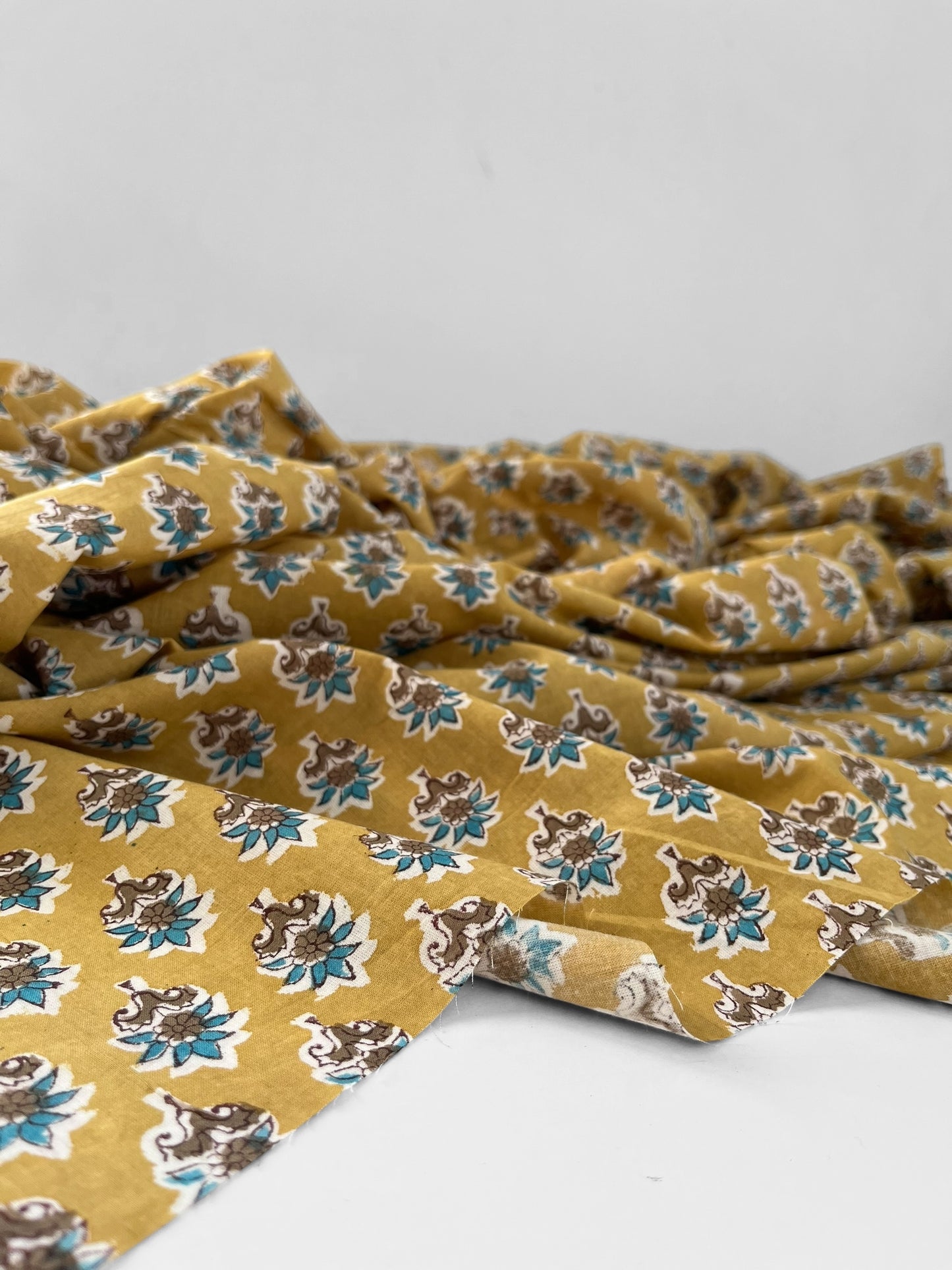 Hoya Mustard