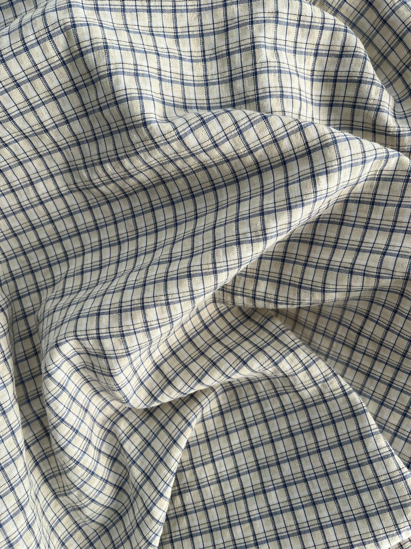 Blue Checks