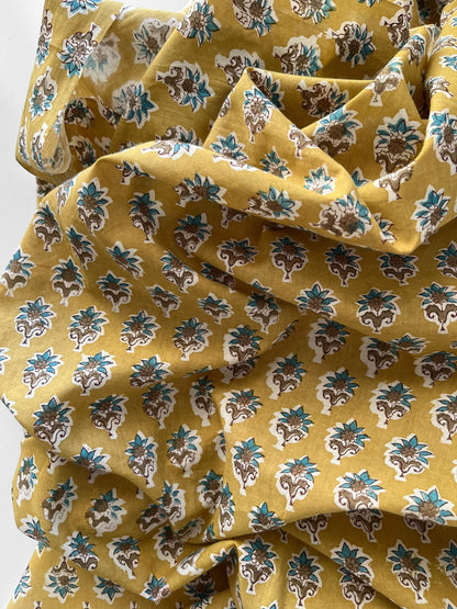 Hoya Mustard