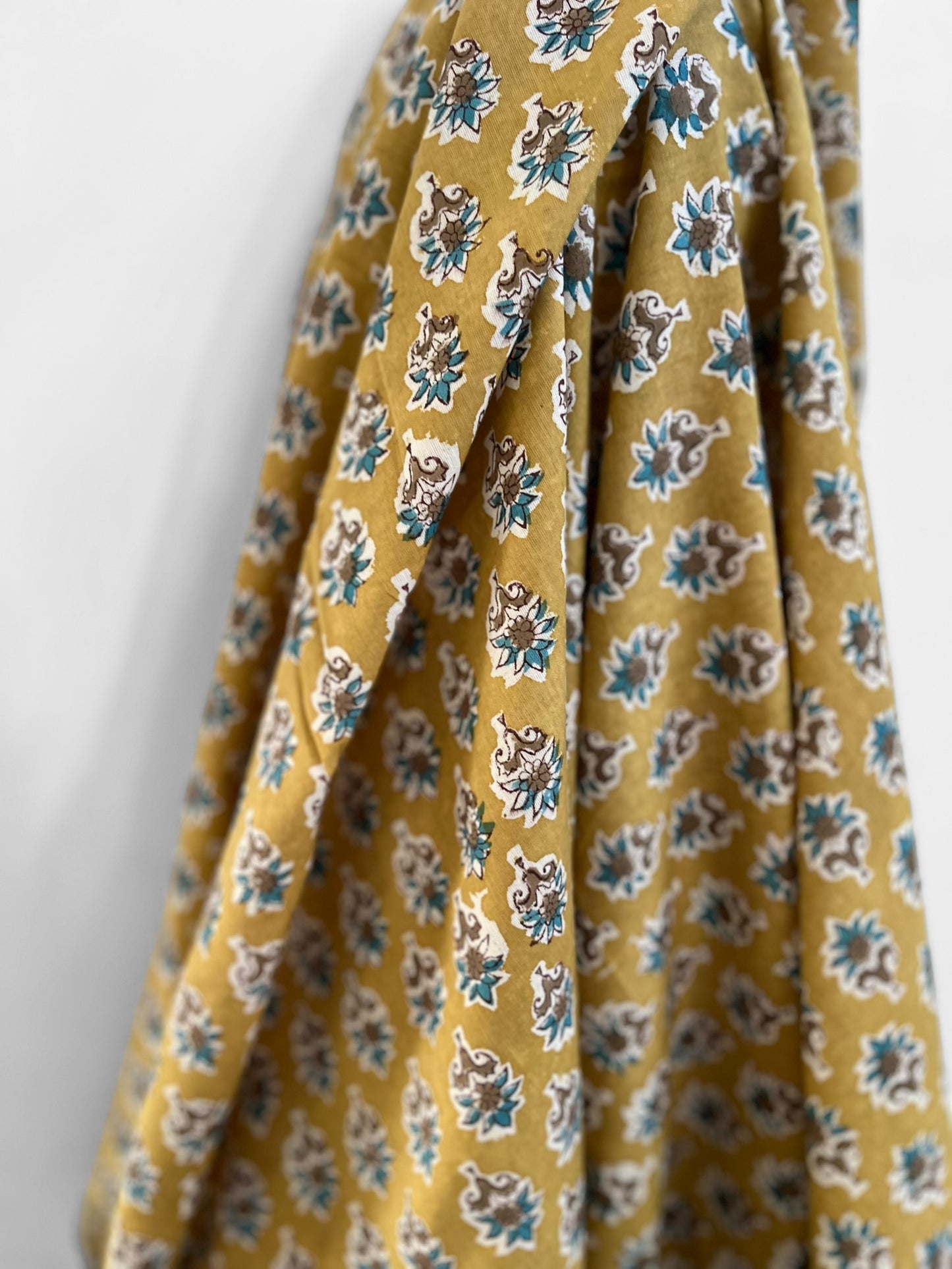 Hoya Mustard