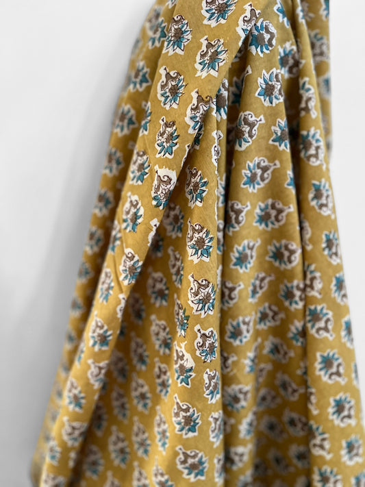 Hoya Mustard