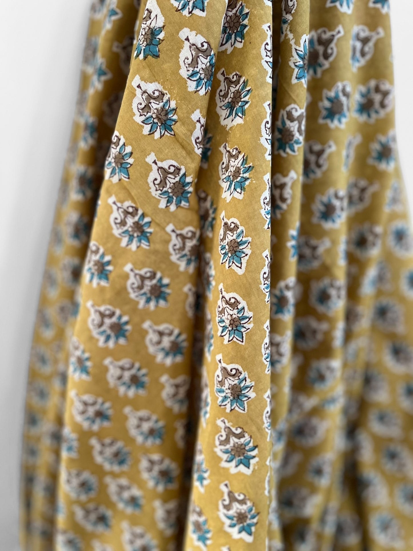 Hoya Mustard