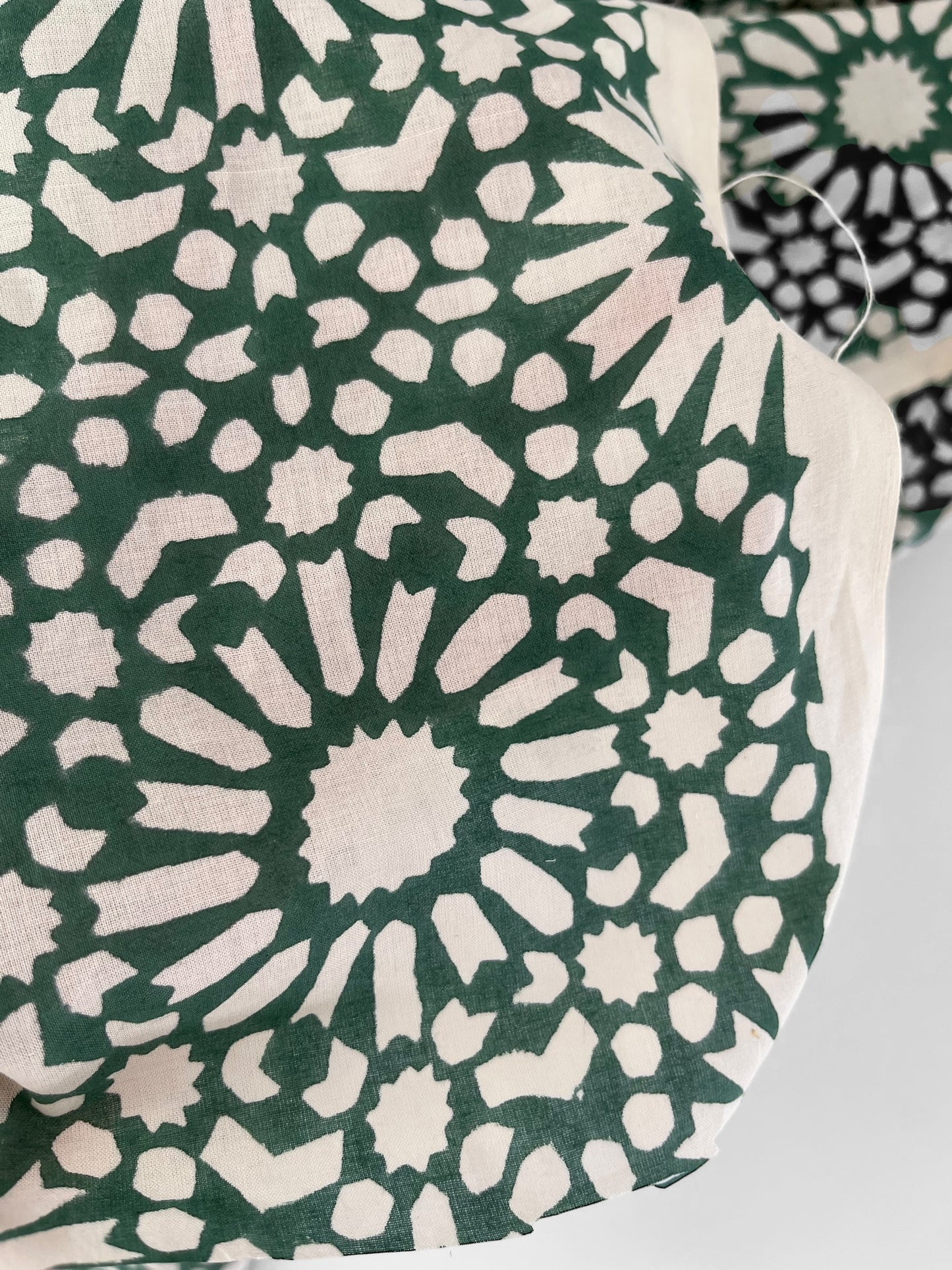Papercut Tree Fern