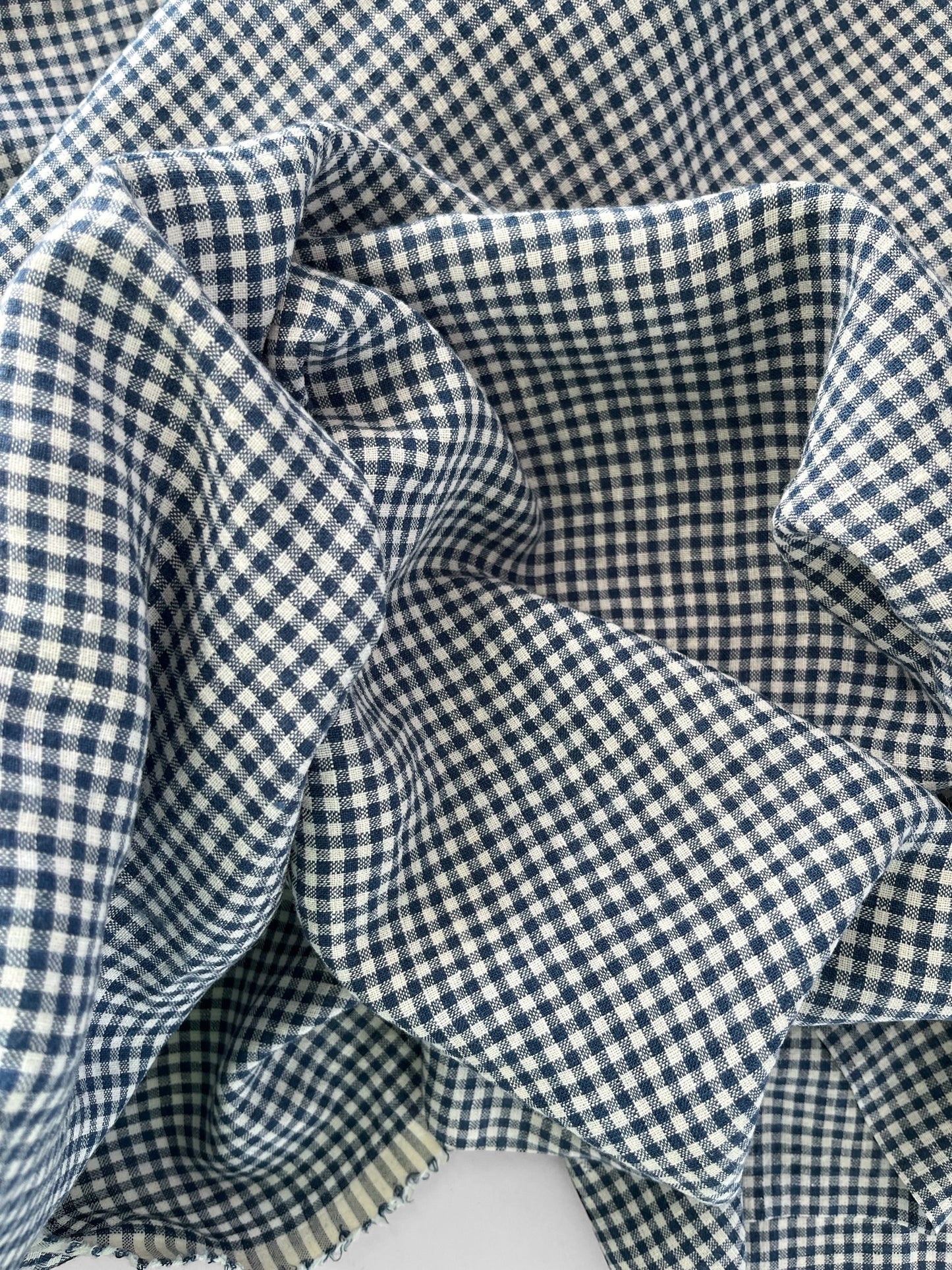 Indigo Gingham